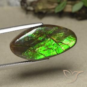 Ammolite Multicolore naturelle Fantaisie, 12.62 ct, Opaque