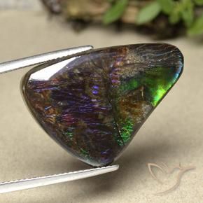 Ammolite Multicolore naturelle Fantaisie, 21.94 ct, Opaque