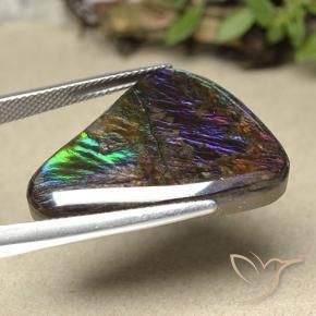 Ammolite Multicolore naturelle Fantaisie, 21.94 ct, Opaque