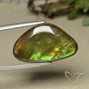 Ammolite Multicolore naturelle Fantaisie, 11.44 ct, Opaque