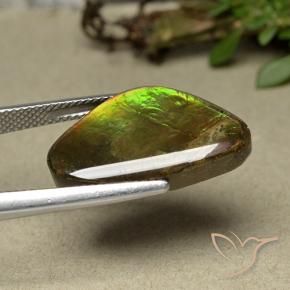 Ammolite Multicolore naturelle Fantaisie, 11.44 ct, Opaque