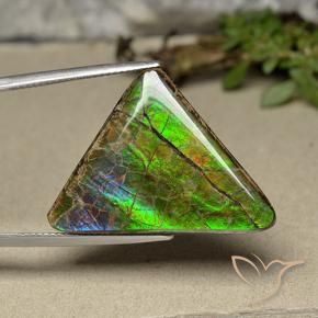 Ammolite Multicolore naturelle Trillion, 20.55 ct, Opaque
