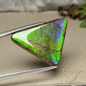 Ammolite Multicolore naturelle Trillion, 20.55 ct, Opaque