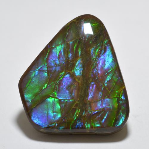 Ammolite Multicolore naturelle Forme fantaisie, 18.85 ct, Opaque