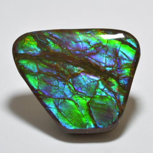 Ammolite Multicolore naturelle Forme fantaisie, 18.85 ct, Opaque