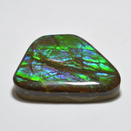 Ammolite Multicolore naturelle Forme fantaisie, 18.85 ct, Opaque