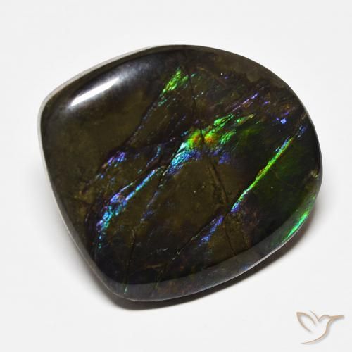 Ammolite Multicolore naturelle Fantaisie, 22.71 ct, Opaque