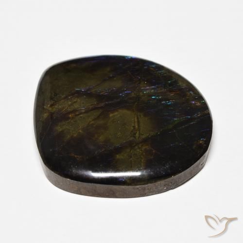 Ammolite Multicolore naturelle Fantaisie, 22.71 ct, Opaque