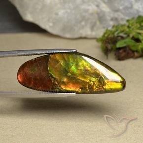 Ammolite Multicolore naturelle Fantaisie, 22.66 ct, Opaque