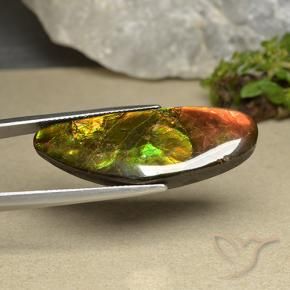 Ammolite Multicolore naturelle Fantaisie, 22.66 ct, Opaque