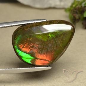 Ammolite Multicolore naturelle Fantaisie, 14.98 ct, Opaque