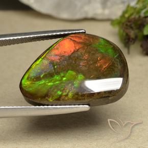 Ammolite Multicolore naturelle Fantaisie, 14.98 ct, Opaque