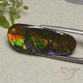 Ammolite Multicolore naturelle Fantaisie, 19.11 ct, Opaque