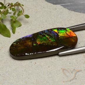 Ammolite Multicolore naturelle Fantaisie, 19.11 ct, Opaque