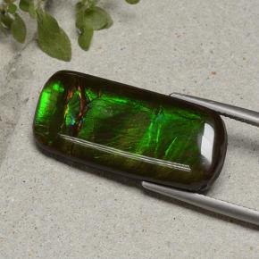 Ammolite Multicolore naturelle Coupe coussin, 18.74 ct, Opaque