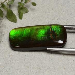 Ammolite Multicolore naturelle Coupe coussin, 18.74 ct, Opaque