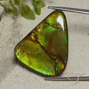 Ammolite Multicolore naturelle Fantaisie, 22.87 ct, Opaque