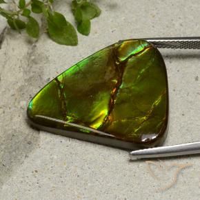 Ammolite Multicolore naturelle Fantaisie, 22.87 ct, Opaque