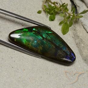 Ammolite Multicolore naturelle Fantaisie, 22.28 ct, Opaque