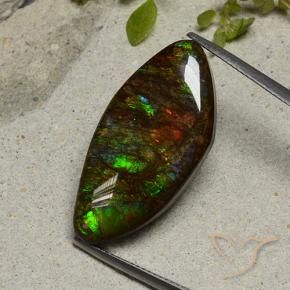 Ammolite Multicolore naturelle Fantaisie, 20.58 ct, Opaque