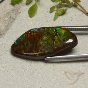 Ammolite Multicolore naturelle Fantaisie, 20.58 ct, Opaque