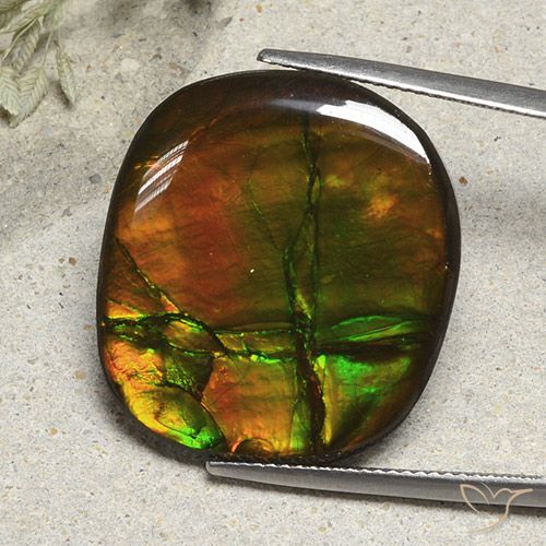 Ammolite Multicolore naturelle Coussin, 21.57 ct, Opaque
