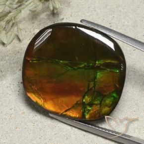 Ammolite Multicolore naturelle Coussin, 21.57 ct, Opaque