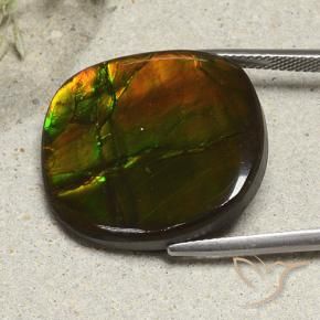 Ammolite Multicolore naturelle Coussin, 21.57 ct, Opaque