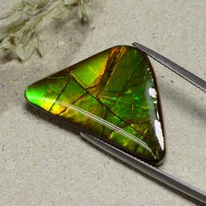 Ammolite Multicolore naturelle Forme fantaisie, 16.82 ct, Opaque
