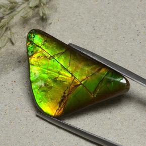 Ammolite Multicolore naturelle Forme fantaisie, 16.82 ct, Opaque