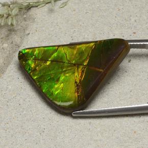 Ammolite Multicolore naturelle Forme fantaisie, 16.82 ct, Opaque