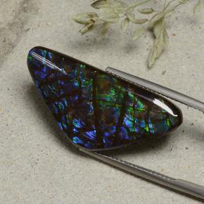 Ammolite multicolore naturelle forme fantaisie, 19,94 ct, opaque