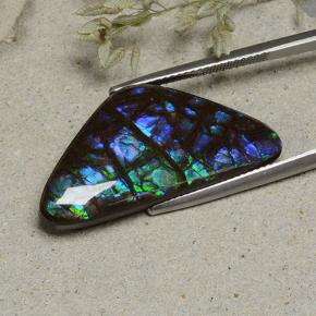 Ammolite multicolore naturelle forme fantaisie, 19,94 ct, opaque