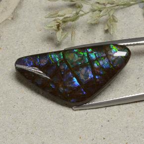 Ammolite multicolore naturelle forme fantaisie, 19,94 ct, opaque