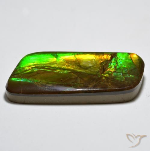Ammolite Multicolore naturelle Fantaisie, 23.38 ct, Opaque