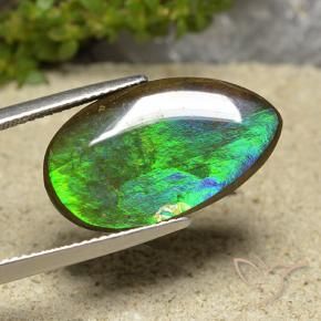 Ammolite Multicolore naturelle En forme de poire, 10.30 ct, Opaque