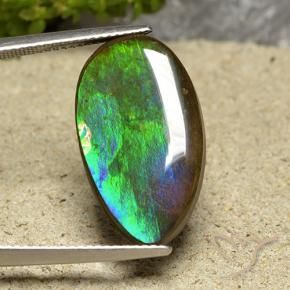 Ammolite Multicolore naturelle En forme de poire, 10.30 ct, Opaque