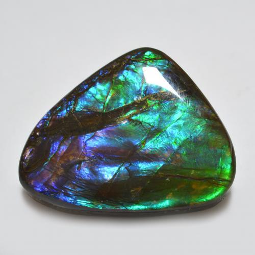 Ammolite multicolore naturelle forme fantaisie, 22,91 ct, opaque