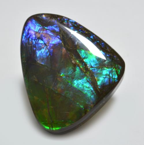 Ammolite multicolore naturelle forme fantaisie, 22,91 ct, opaque