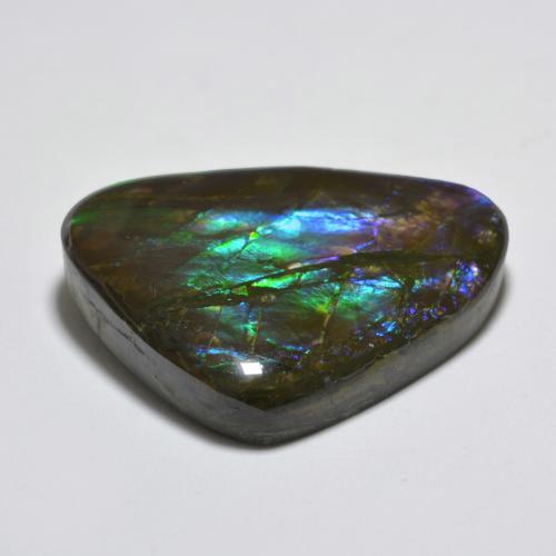 Ammolite multicolore naturelle forme fantaisie, 22,91 ct, opaque