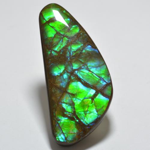 Ammolite Multicolore naturelle Forme fantaisie, 20.99 ct, Opaque