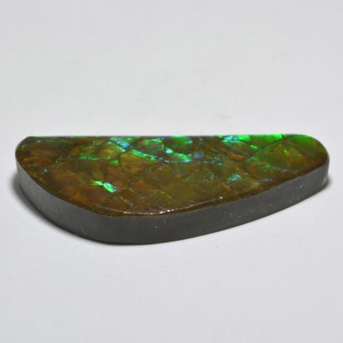 Ammolite Multicolore naturelle Forme fantaisie, 20.99 ct, Opaque