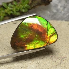 Ammolite Multicolore naturelle Fantaisie, 18.57 ct, Opaque