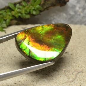 Ammolite Multicolore naturelle Fantaisie, 18.57 ct, Opaque