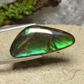 Ammolite Multicolore naturelle Fantaisie, 15.08 ct, Opaque