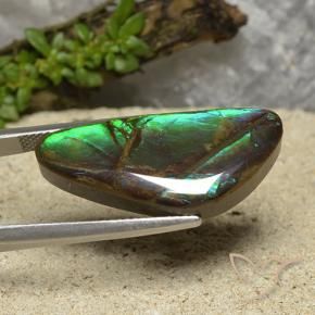 Ammolite Multicolore naturelle Fantaisie, 15.08 ct, Opaque