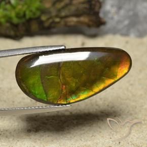 Ammolite Multicolore naturelle Fantaisie, 17.01 ct, Opaque