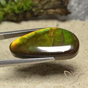 Ammolite Multicolore naturelle Fantaisie, 17.01 ct, Opaque