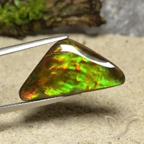 Ammolite Multicolore naturelle Trillion, 12.19 ct, Opaque