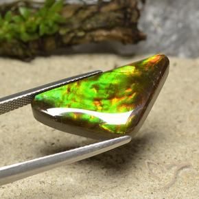 Ammolite Multicolore naturelle Trillion, 12.19 ct, Opaque